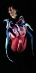 sea anemone costume