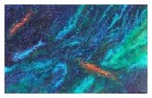 fishtych 13