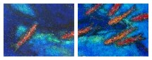 fishtych 05