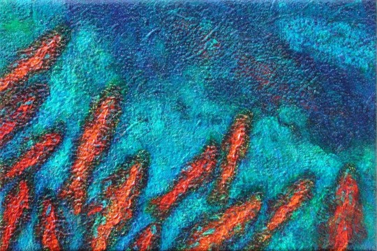 fishtych 12